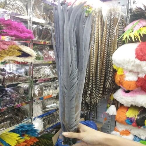 Hot Sale 200 Pcs Wholesale Gray Pheasants Feathers 20-22inches/50-55cm Stage Performances Wedding Decoration Accessories