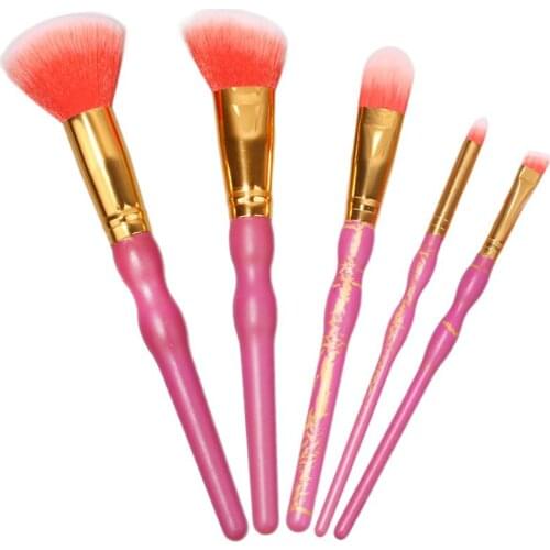 Special wood handle 5pcs colorful make up brush set soft synthetic hair cosmetic brushes set in powder