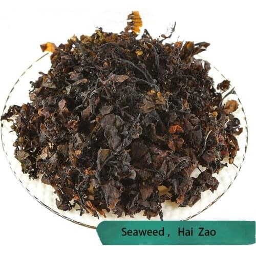 Sargassum Seaweed Hai Zao Thalassophyte Marine Algae