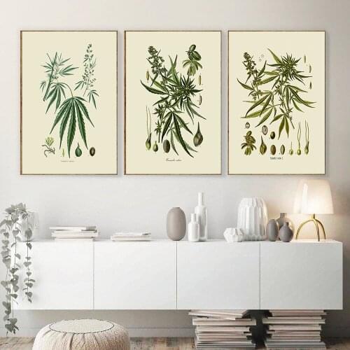 Vintage Weed Medicinal Plants Botanical Wall Art Canvas Painting Posters And Prints Nordic Modern Picture For Living Room Decor