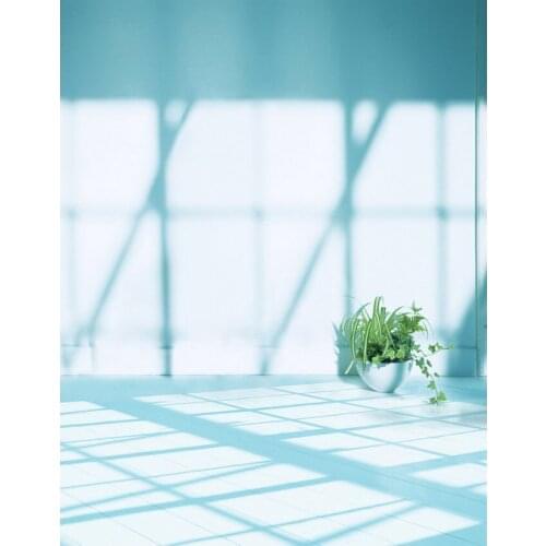 TR 10x10FT Sunshine Lattice Window Light Blue Room Flowers Potted Wedding Custom Photography Studio Backdrops Backgrounds Vinyl