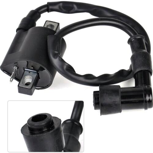 CITALL Black Ignition Coil fit for Motorcycle Suzuki RM125 Dirt Bike 1975-2001 For RM250 Dirt Bike 1976 1977 1978 1979 1980-2001
