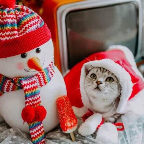 Hot Funny Christmas Clothes Warm Pet Dog Cat Clothes Puppy Santa Red Scarf Hat Deer Head Cute Dogs Cloak Cats Costume Home Decor