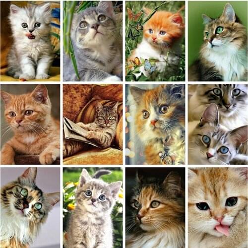 EverShine Diamond Painting Cat Diamond Embroidery Full Square Picture Of Rhinestones Cross Stitch Mosaic Animals Home Decor Art