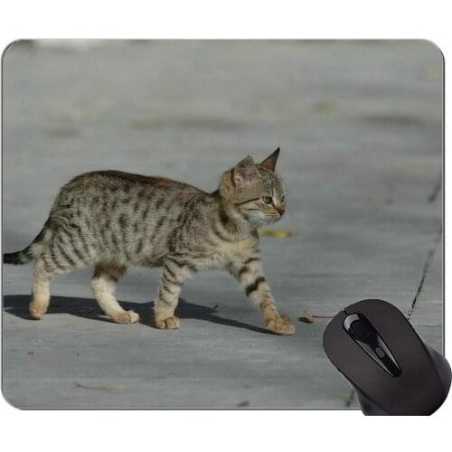 Gaming Mouse Pad Custom,Entertainment Kitten Home Office Computer Accessories Mousepads