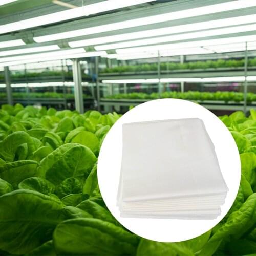 1.6*6m/1.6*10m Garden Plant Shrub Cover Antifreeze Protection Plant Blanket Frost Winter Protection Plant Reflective Film