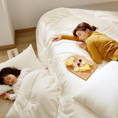 100% cotton class A spring and autumn quilt with core warm double winter quilt 200cmX230cm