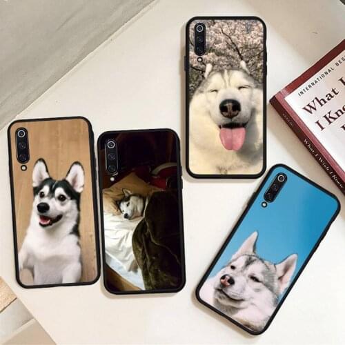 Funny husky Phone Case For Xiaomi Redmi 7 8 9t 6 9se k20 mi8 max3 lite 9 note 9s 10 pro