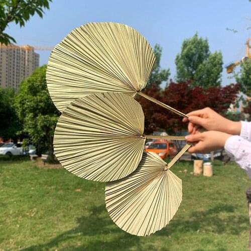 Reception Party Art Wall Hanging Decoration Wedding Arch Arrangement Palm Fan Leaf Dried Flower Palm Leaf Window