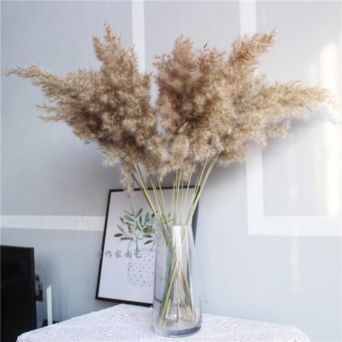 Pampas grass decor plants home wedding decor dried flowers bunch feather flowers natural phragmites WJB42201