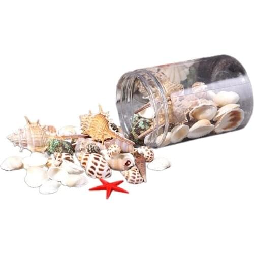 Aquarium Ornaments Starfish Sea Snail Coral Seashells Home Decor Supplies Fish Tank Decoration Vase Fillers 0.2"-2.4" M6CE
