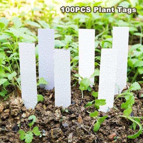 100pcs Plant Labels Waterproof Plastic Garden Plant sorting Sign Tags Stakes for Plants Flowers Vegetables card White 10 x 2cm