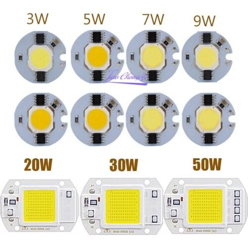 LED COB Chip 110V 220V 9W 10W 20W 30W 50W LED Bulb Lamp Input Smart IC Flood Light Spotlight