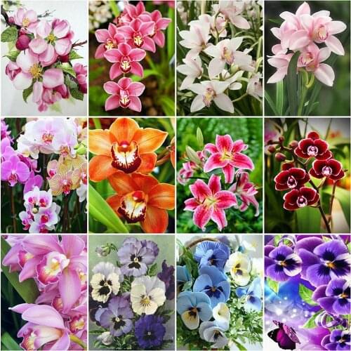 5D DIY Full Square Round Diamond Embroidery Orchid Cross Stitch Diamond Painting Lily Flower Diamond Mosaic Home Decor