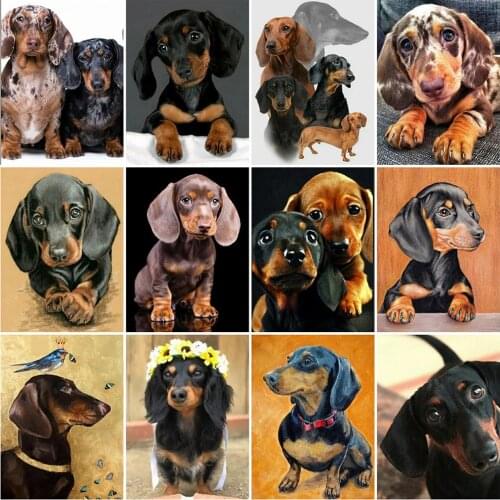 HUACAN Diamond Embroidery Animal Diamond Painting Full Drill Square Dog Beaded Rhinestones Art Cross Stitch Set Decor For Home