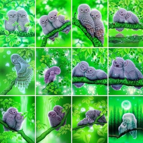Diamond Embroidery Owl Picture Of Rhinestones Diamond Painting Animal Full Drill Cross Stitch Kit 5D DIY Handicraft