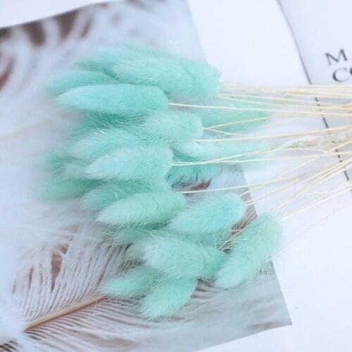 20pcs/set The Light Blue Garden Rabbit Tail Grass Preserved Fresh Flower Natural Dried Flowers Bouquet Wedding Home Decoration