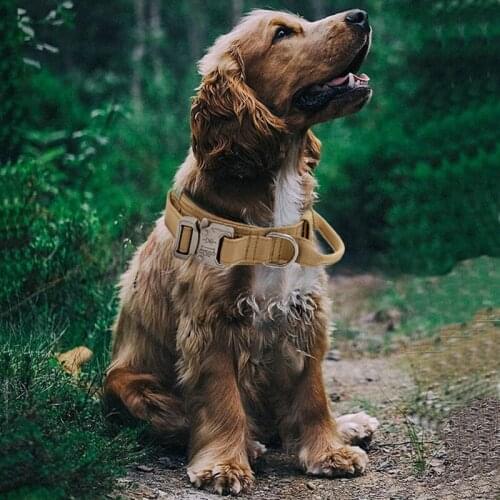 Durable Tactical Dog Collar Adjustable Heavy-duty Military Training Pet Collar Medium Large Dogs Magic Sticker ID Panel