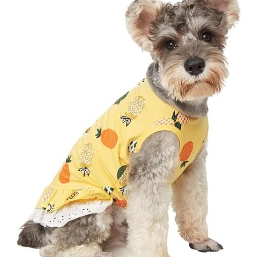 Small Dog Dress Puppy Cat Chihuahua Yorkshire Terrier Dresses Princess Costume Pomeranian Poodle Bichon Schnauzer Dog Clothes