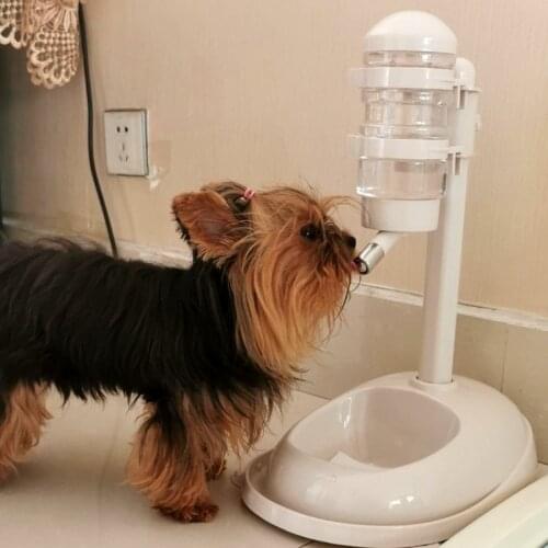 Dog Automatic Water Dispenser Cat Feeding Feeder Vertical Kettle