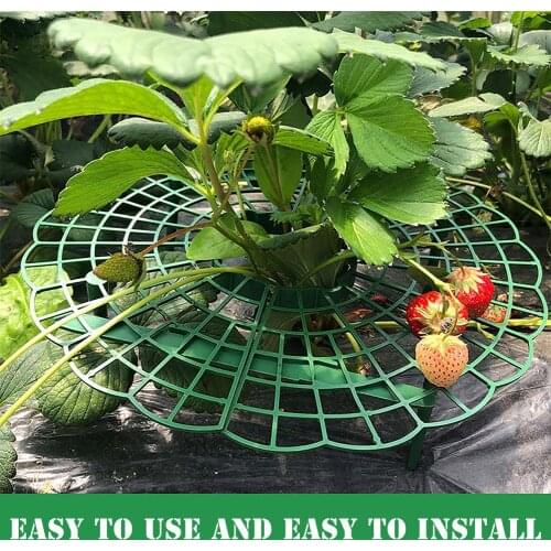 3 Strawberry Climbing Stand Frame Holder Balcony Planting Rack Fruit Support Plant Flower Climbing Vine Pillar Gardening Stand