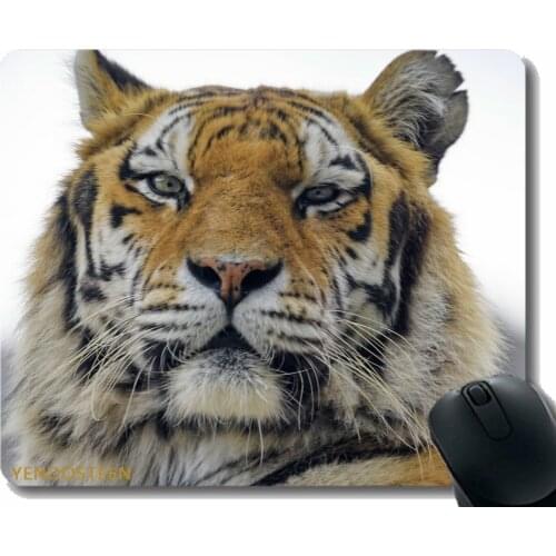 Personalized Mouse Pad,Tiger Predator Muzzle 180698 Non-Slip Rubber Base Mousepad