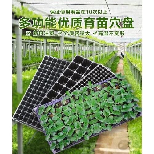 10 pcs set seedlings pushing plate hydroponics growth system tray of seedlings of vegetable nursery pots