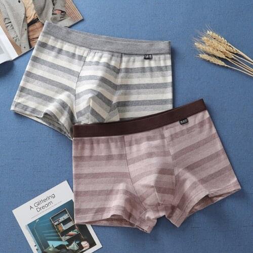 Men Shorts Mens Panties Underwear Pour Homme Cotton Black Underpants Sexy Comfort Boxers XL XXL XXXL 4XL Plus Size