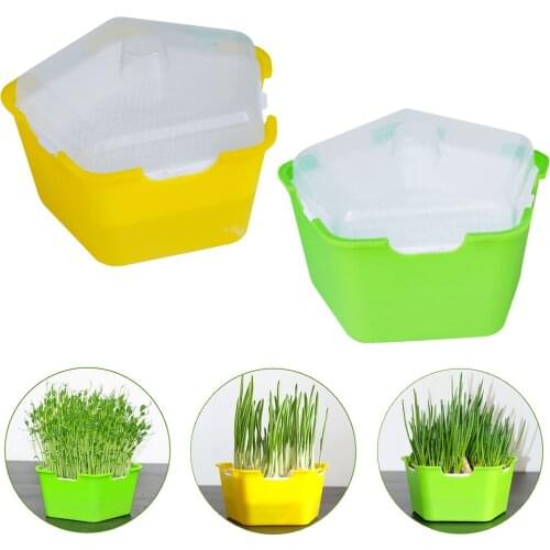 Pentagonal Box Sprouts Seedling Tray Multifunctional Planting Box Cat Grass Planting Box Childrens DIY Sprouts Planting Box