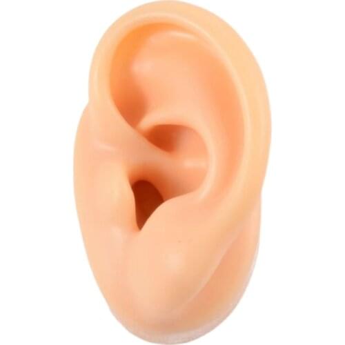 Simulation ear silicone asmr child touch ear sleep aid false ear model ear pick practice teaching display