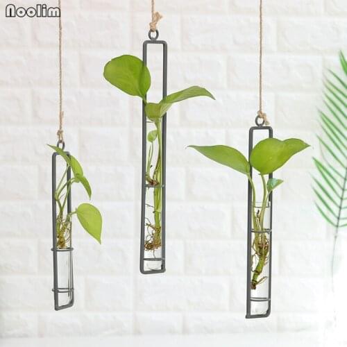 NOOLIM Nordic Creative Iron Glass Vase Hydroponic Scindapsus Green Plant Container Living Room Hemp Rope Hanging Wall Decoration