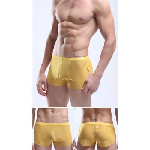 Sexy Men Mesh Loose Boxer Man Gay Transparent Underwear Male Arrow Shorts Net Lingerie Famous Brand Solid Color