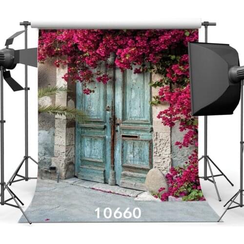 Vintage Blue Door Red Flowers Stone Wall Photographic Background Vinyl Cloth Photo Backgdrops for Portrait Photo Shoot Studio