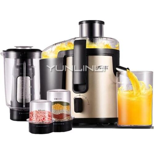 Household Juicer Stainless Steel Multi-function Juice Machine Crushed Meat Ice Soya Bean Milk 220V