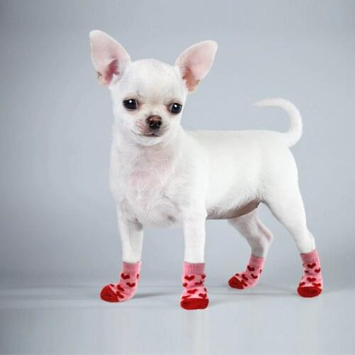 AINOLWAY Shoes For Dogs