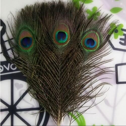 Top quality peacock feathers 10 Pcs/lot, length 25-32 CM beautiful natural peacock feather Diy jewelry Decorative Deco fittings