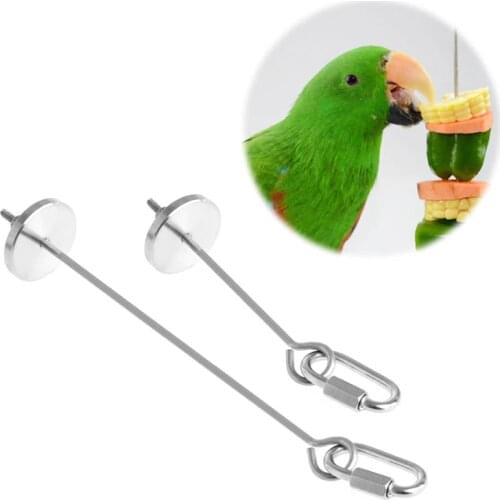 Stainless Steel Birds Parrot Cage Skewer Food Meat Stick Spear Fruit Holder Toy