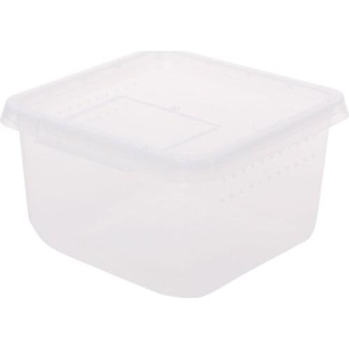 Reptile Terrarium Feeder Breeding Box Tortoise Spider Lizard Beetle Insect House