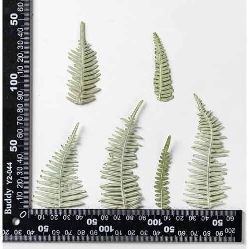 120pcs Pressed Dried Flower Dicranopteris dichotoma Leaf Herbarium Epoxy Jewelry Bookmark Phone Case Makeup Nail Art Craft DIY