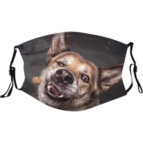 1Pc Cotton Ski Fasemask Reusable With 2Pcs Filters Dog Print Washable Ski Fase Maksk For Germ Protection For Adults Bandana