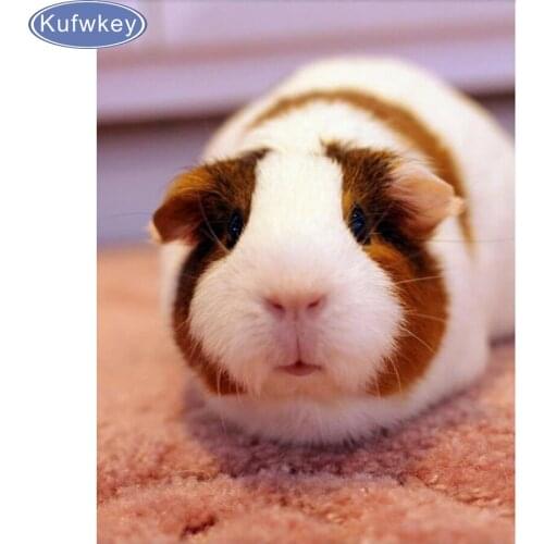 Full,Diamond Embroidery,Guinea Pig,5D Diamond Painting,Cross Stitch,Diamond Mosaic,diamond pattern,chicken decor wall stickers