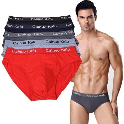 10 Pcs/Lot Mens Brief Modal Sexy Underwear Solid Briefs Factory Direct Sale Men Bikini Underwear Plus L-5XL 6XL (7XL=One size)