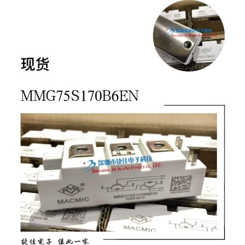 MMG100D170B6EN MMG75S170B6EN MMG100S170B6EN MMG100D170B6EN