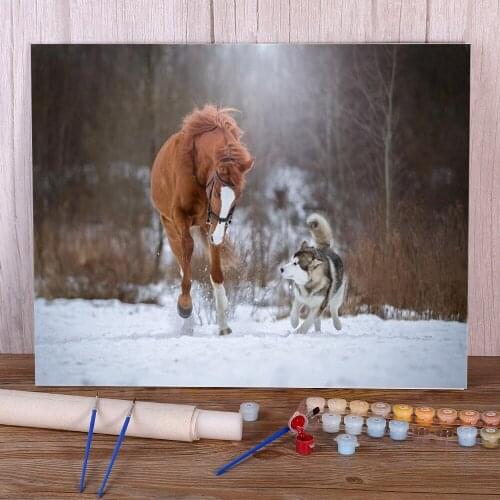 Animal Dog Husky Coloring By Numbers Painting Complete Kit Acrylic Paints 50*70 Boards By Numbers New Design For Handicraft