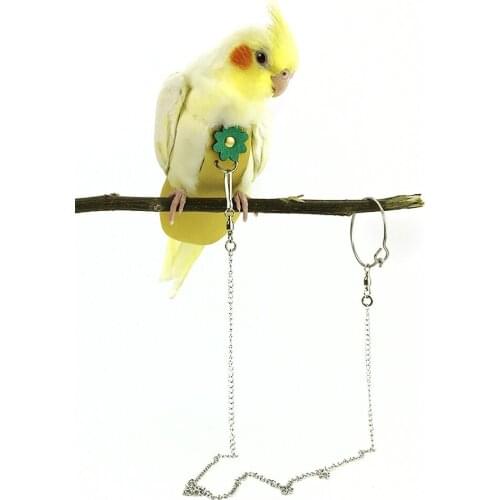 Birds, parrot flight clothes, pee diapers, flying pants, clothing, chain traction rope