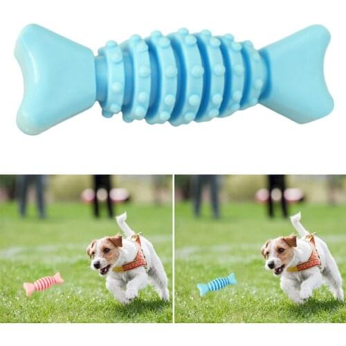 1PCS Pet Toy Creative Bone Shaped Pet Squeaky Teething Toy Dog Play Bite Toy for Small Medium Dogs