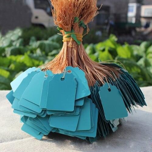 100PCS/set Breeding label Gardening Plant Tag PVC Waterproof Hanging Sign Fleshy Nursery Stock Flowers Tag Labeling Drop AA