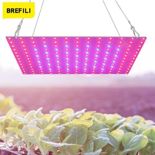 BREFILI Plant Lamps