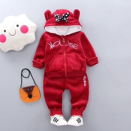 New Spring Autumn Kids plus Thicken Casual Clothes Baby Girls Cotton Hoodies Pants 2Pcs/Sets Children Cartoon Fashion Tracksuit