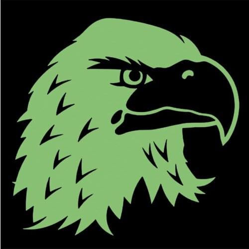 Eagle head Patches for Clothing Luminous Badge Heat transfer printing Noctilucent Patch Clothes DIY Fluorescence Stickers Gifts
